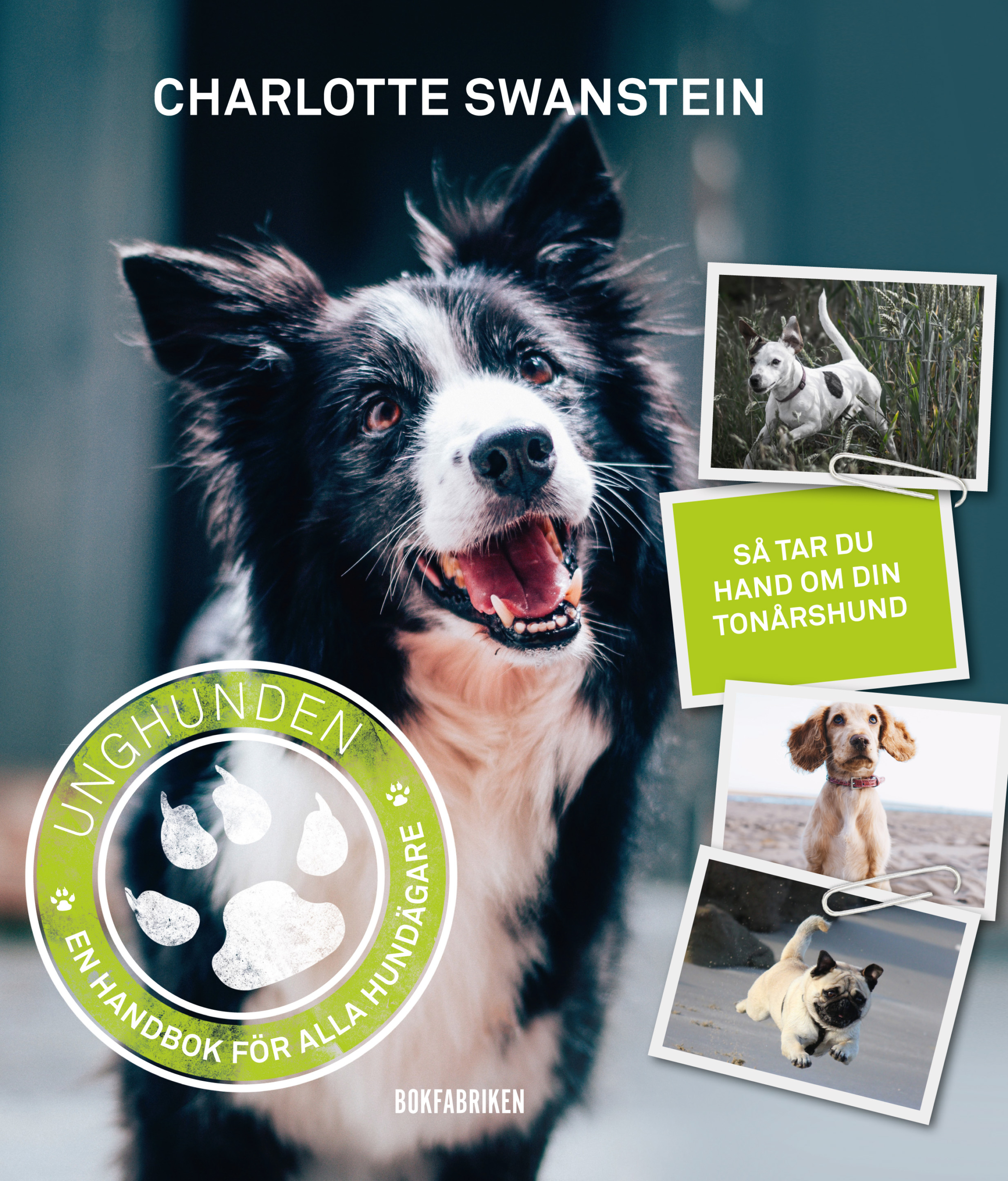 Charlotte Swanstein: Unghunden – En handbok för alla hundägare